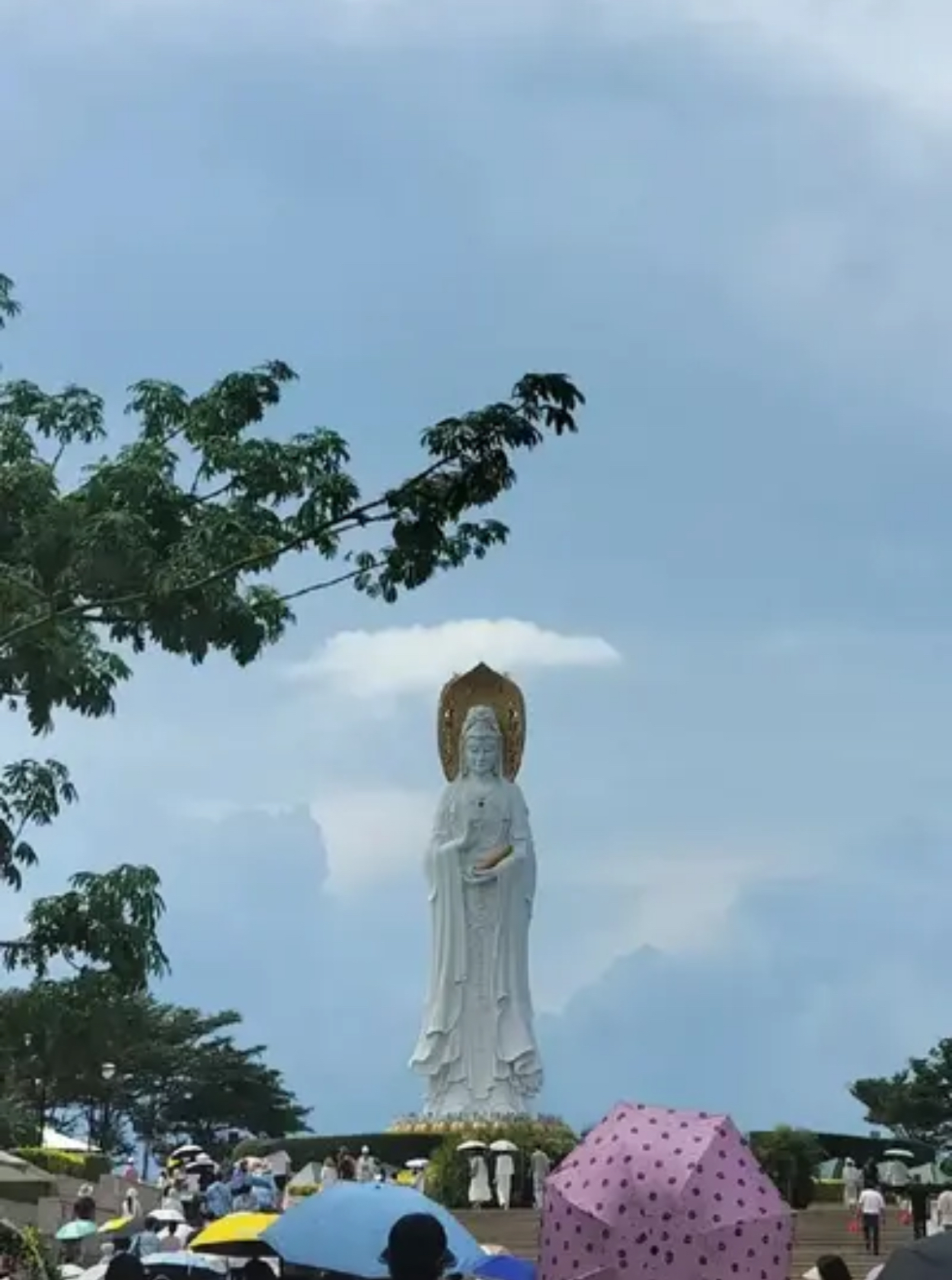 南山观音显灵事件图片