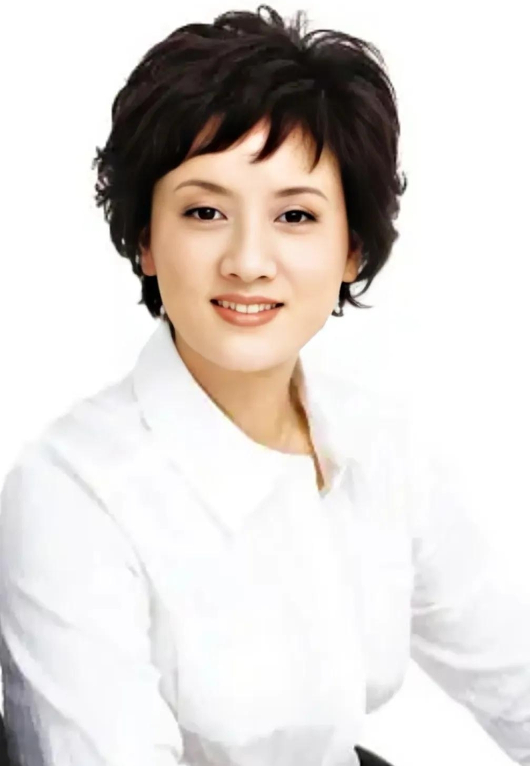 站在c位的是大家都很熟悉的张国立,在《康熙微服私访记》,《金婚》