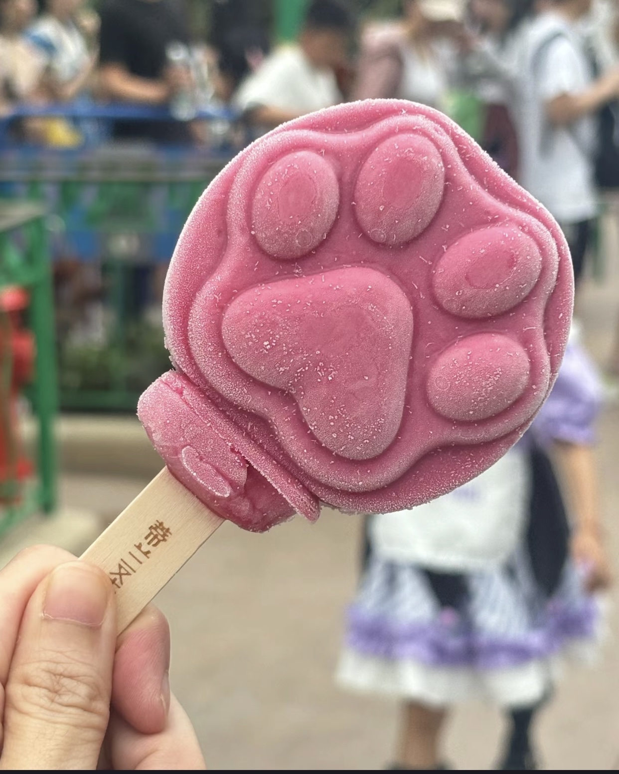 暑假带孩子去迪士尼,做了攻略,但还是踩了最大的雷,我想很难再去了