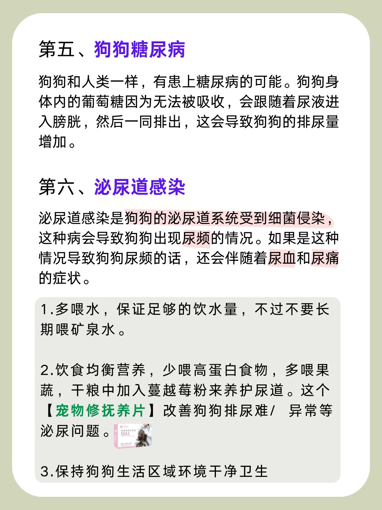 狗狗尿血的6个原因,真栓q了