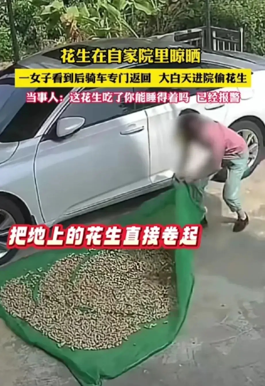 在安徽,一女子偷老人院内晾晒的花生,此事引发关注