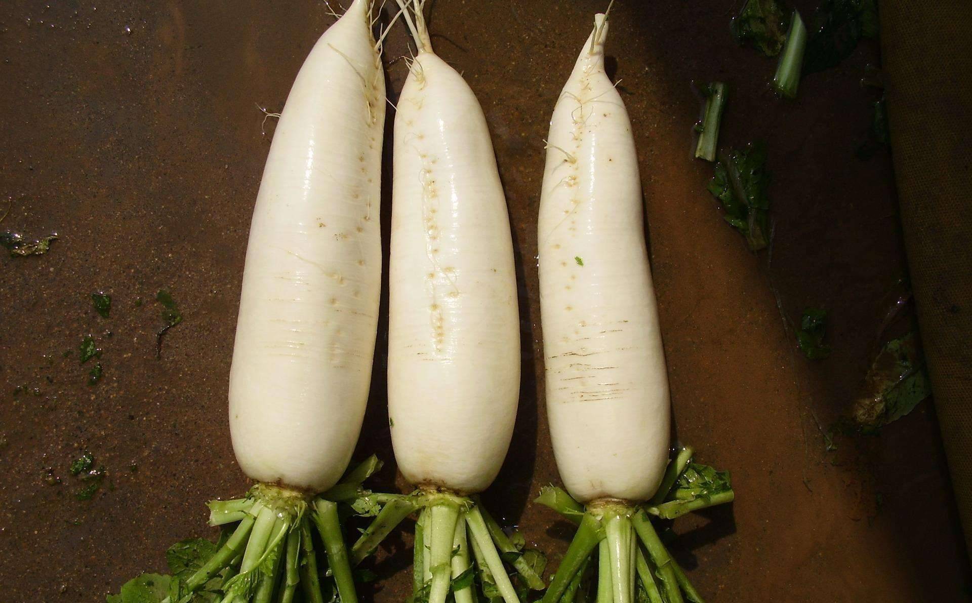 "咳嗽"最怕这4种菜,三天吃一次,清热润肺又止咳,早食早受益