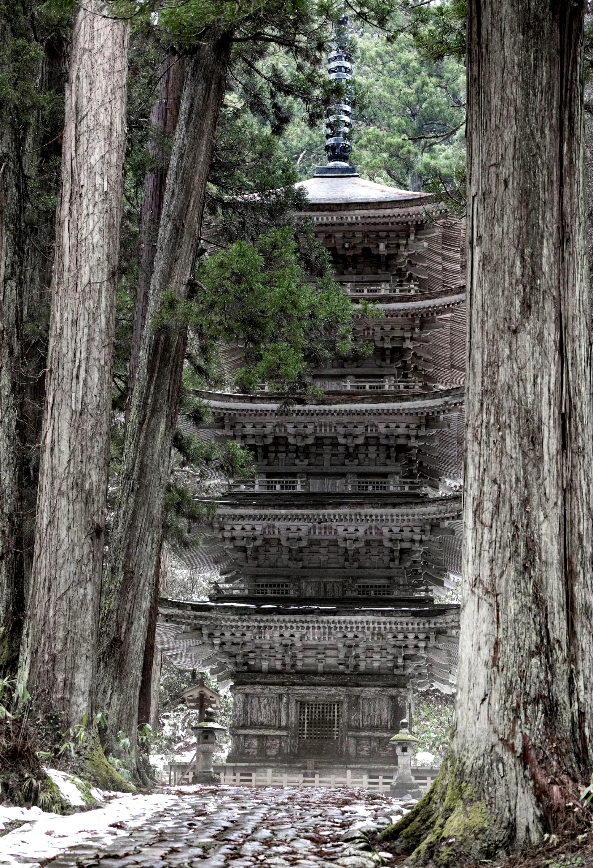 奈良时代全盘向唐代学 五重塔日本古塔日本著名的古建筑日本 古塔阴森