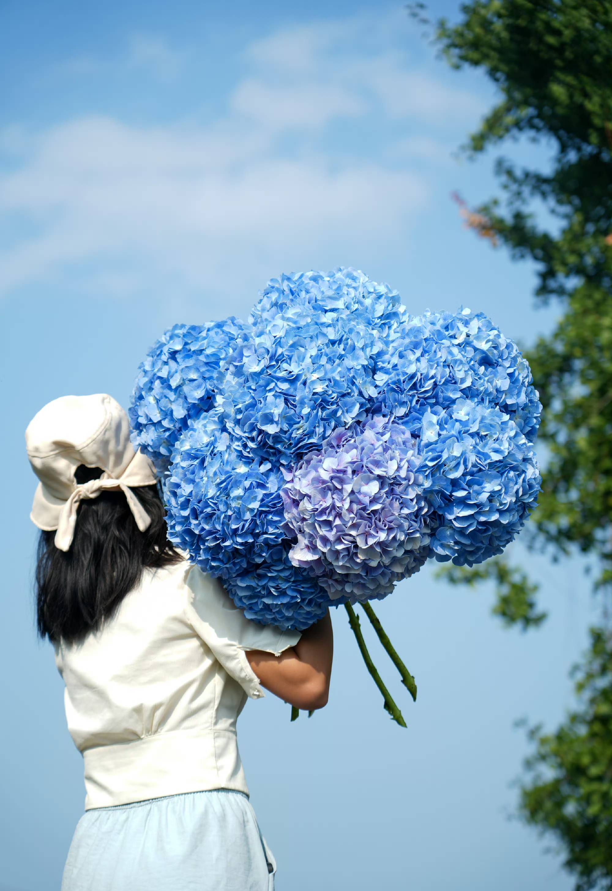 周末去哪儿玩# 谁能拒绝花大,直立,颜色美的绣球大海蓝呢?