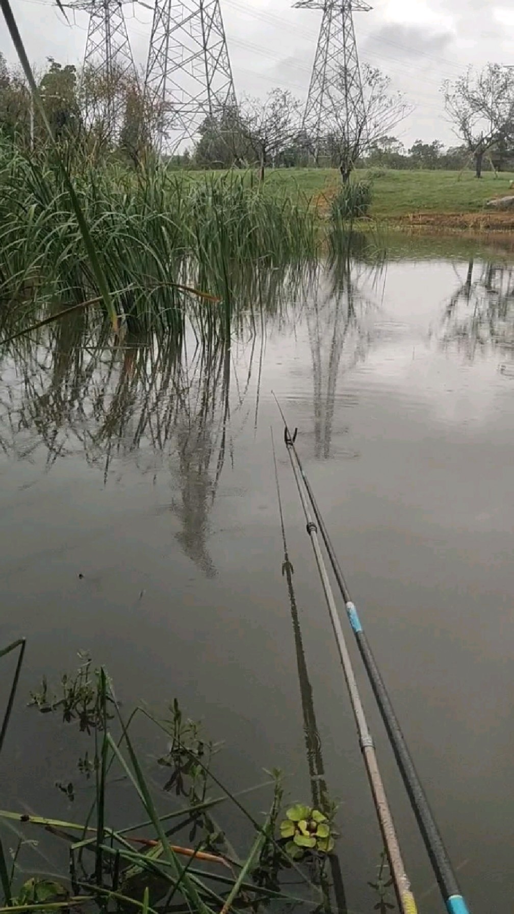 秋季选择阴雨天气出来钓鱼,有风有雨,上鱼特别好!
