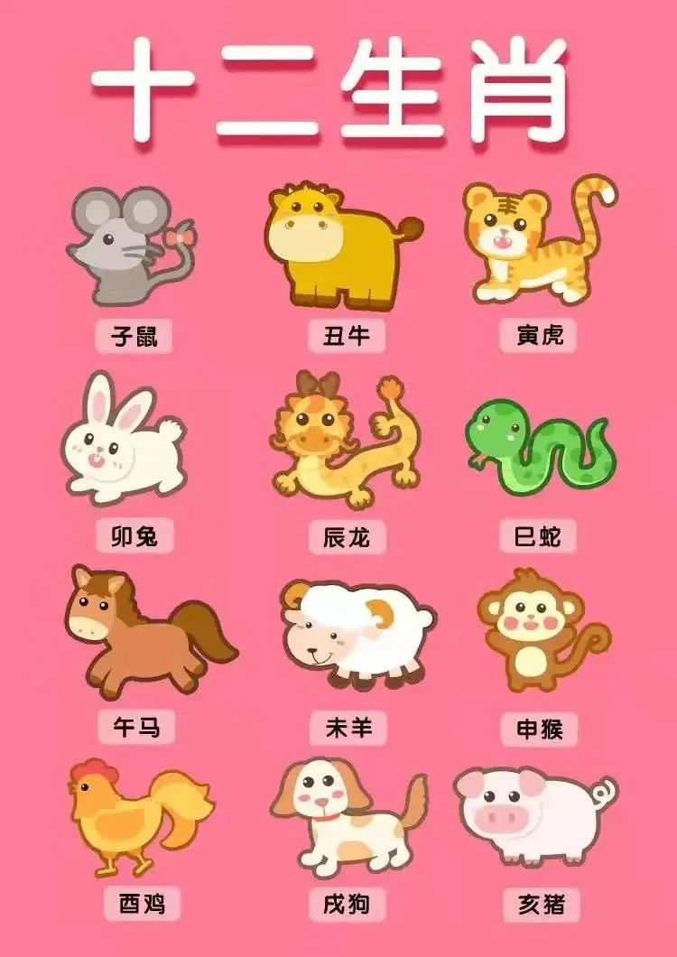 十二生肖上半年运势(十二生肖运势下半年)