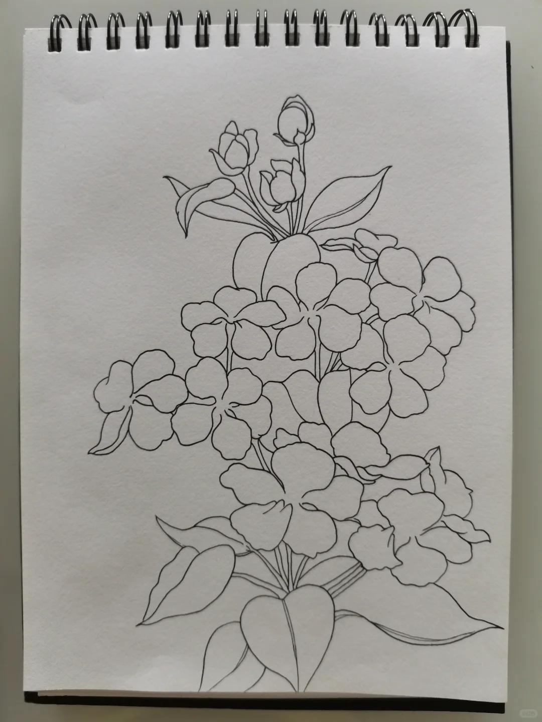 零基础学画画159～梨花(附步骤) 临摹《自在飞花》花