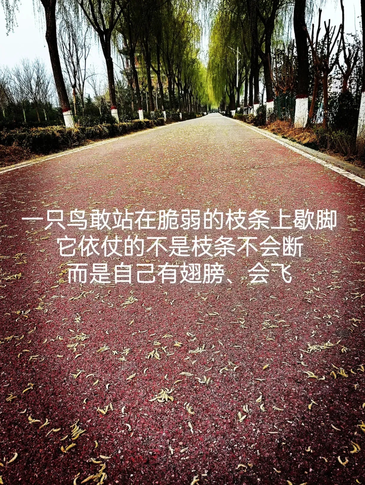 不是工作,甚至不是婚姻 而是你拼了命地在为孩子托举, 孩子却在拼命打