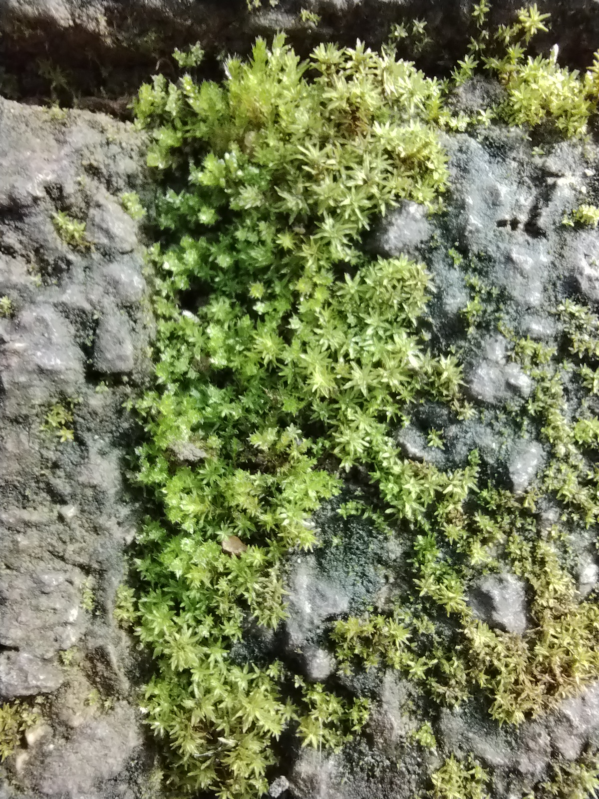 分享家乡的秋天,不仅有蓝天和白云,还有登高远望的舒