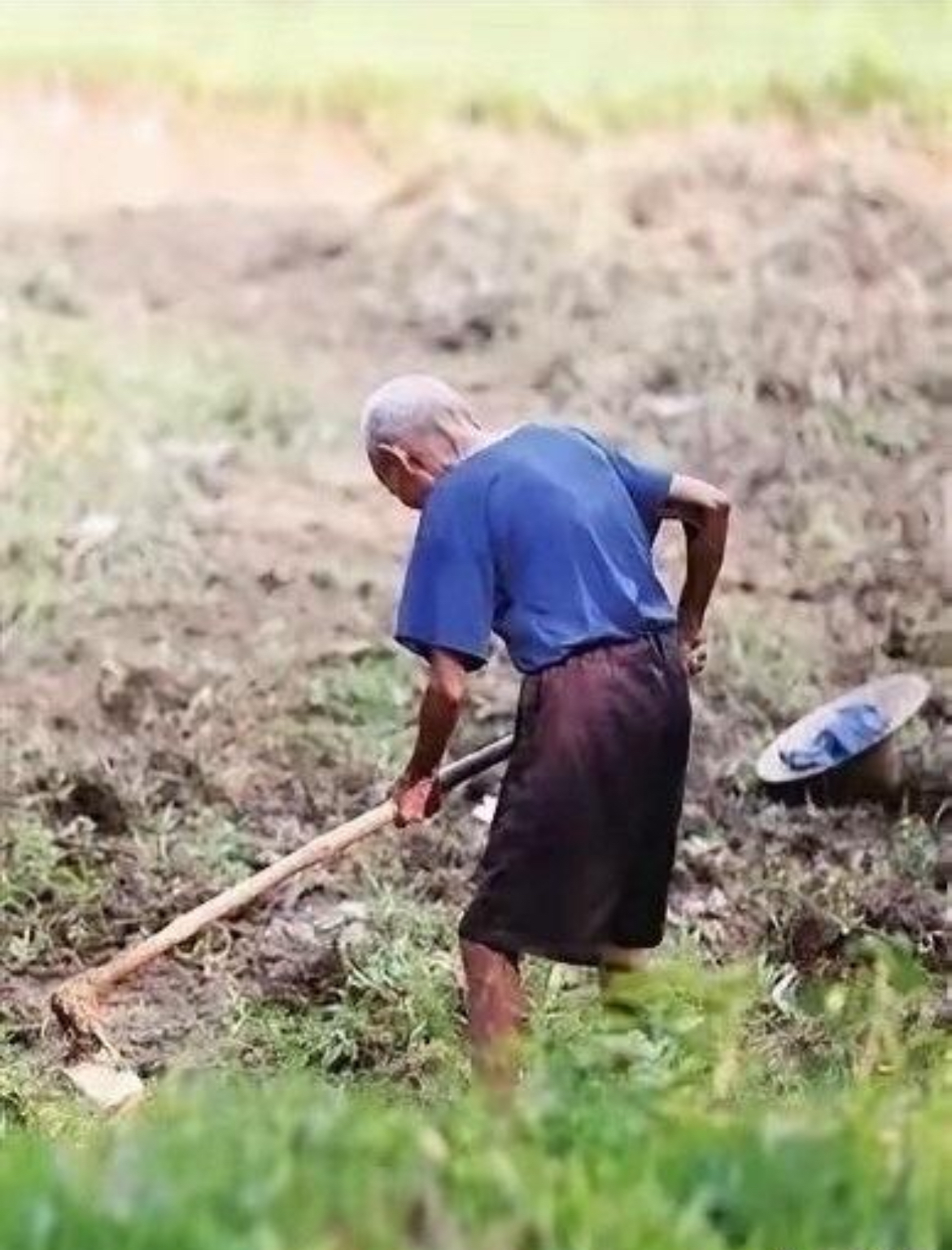 农民在田里劳作的图片图片