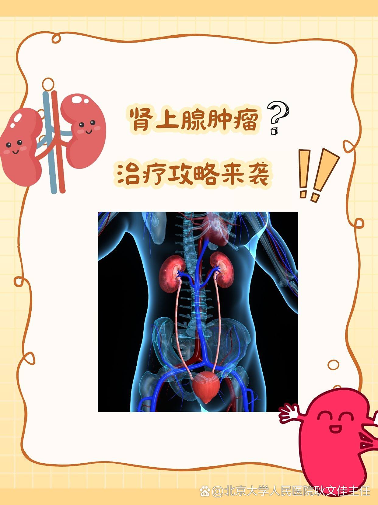 北京大学人民医院"医院黄牛挂号怎么挂到的",的简单介绍