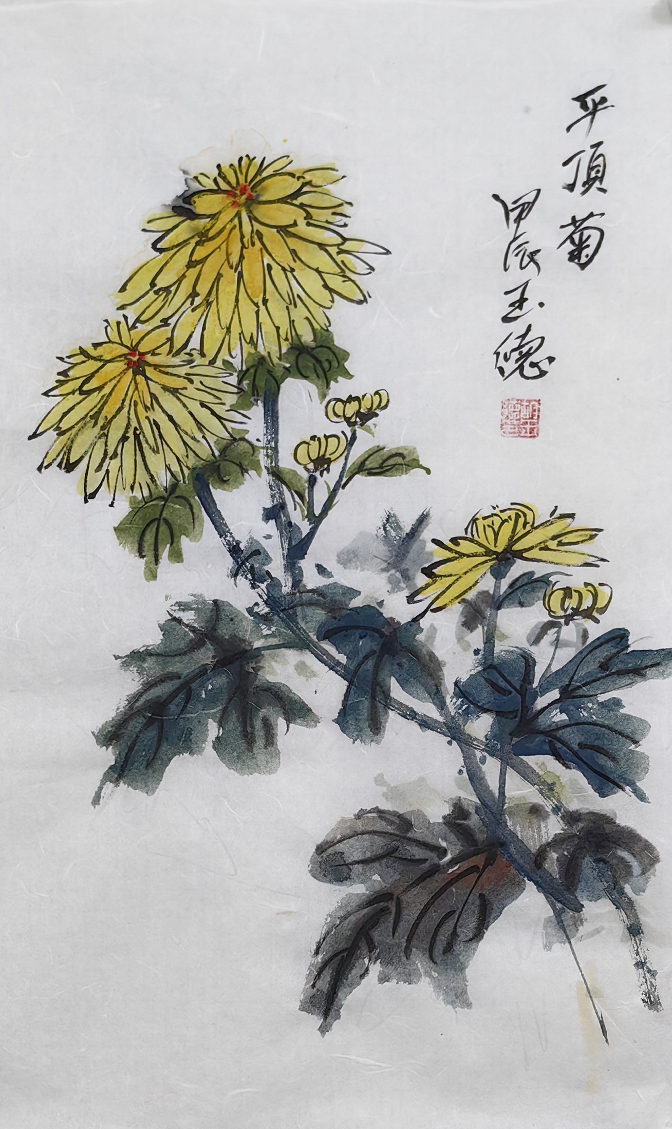 菊花国画基础知识学习海派吴昌硕老师#金秋动态创作赛