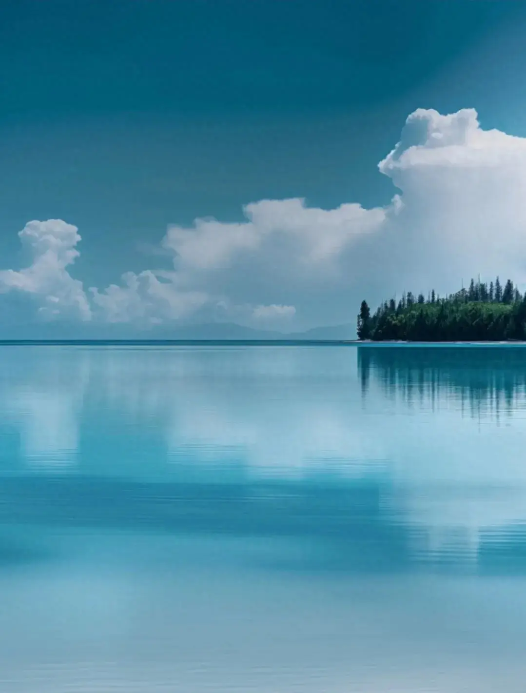 自然系,是治愈生活的良方