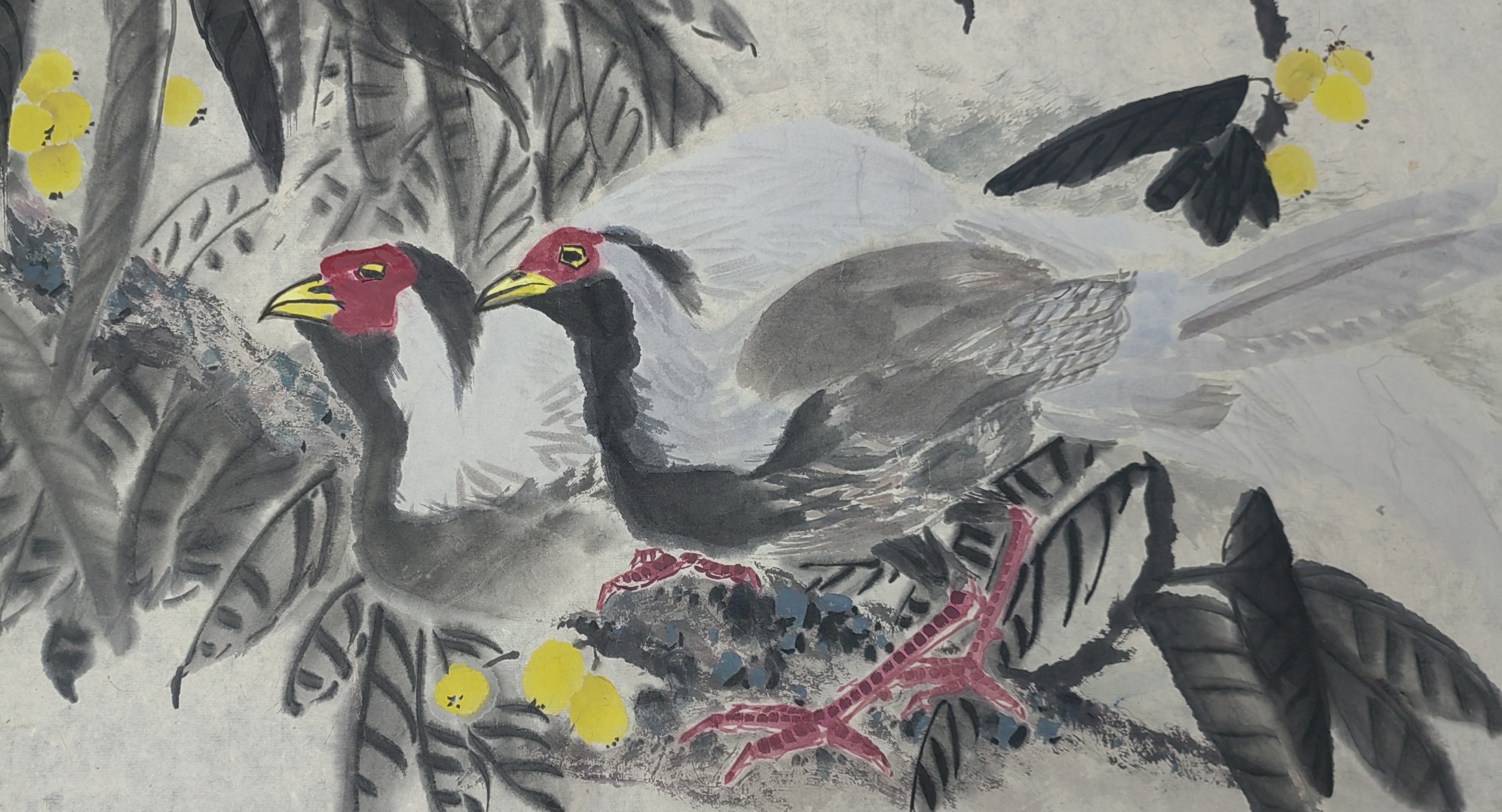 很早以前见过白鹇的图片,感觉就是仙鸟,说是凤凰的原型不夸张!