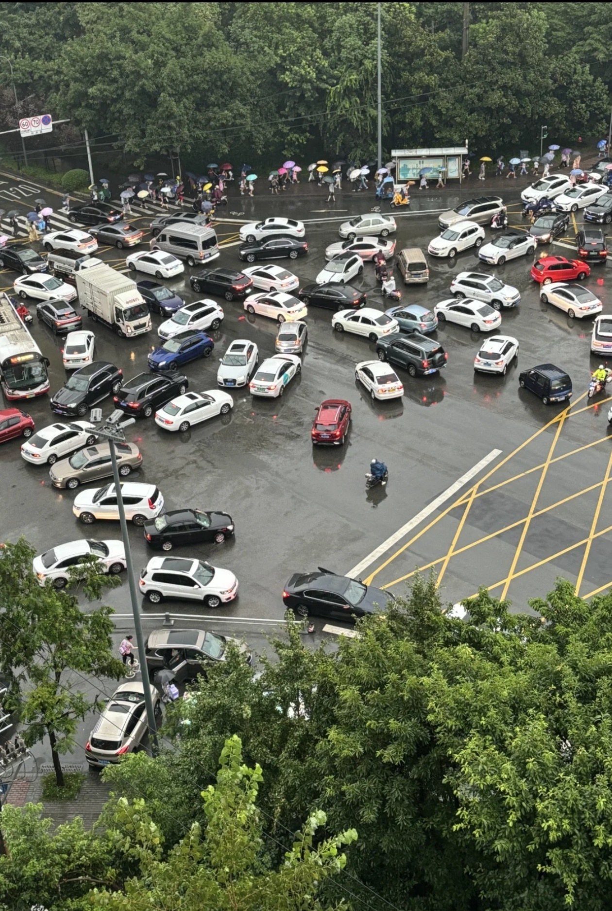 发现没有,大城市下雨天开车人特别牛b,谁不让谁,就
