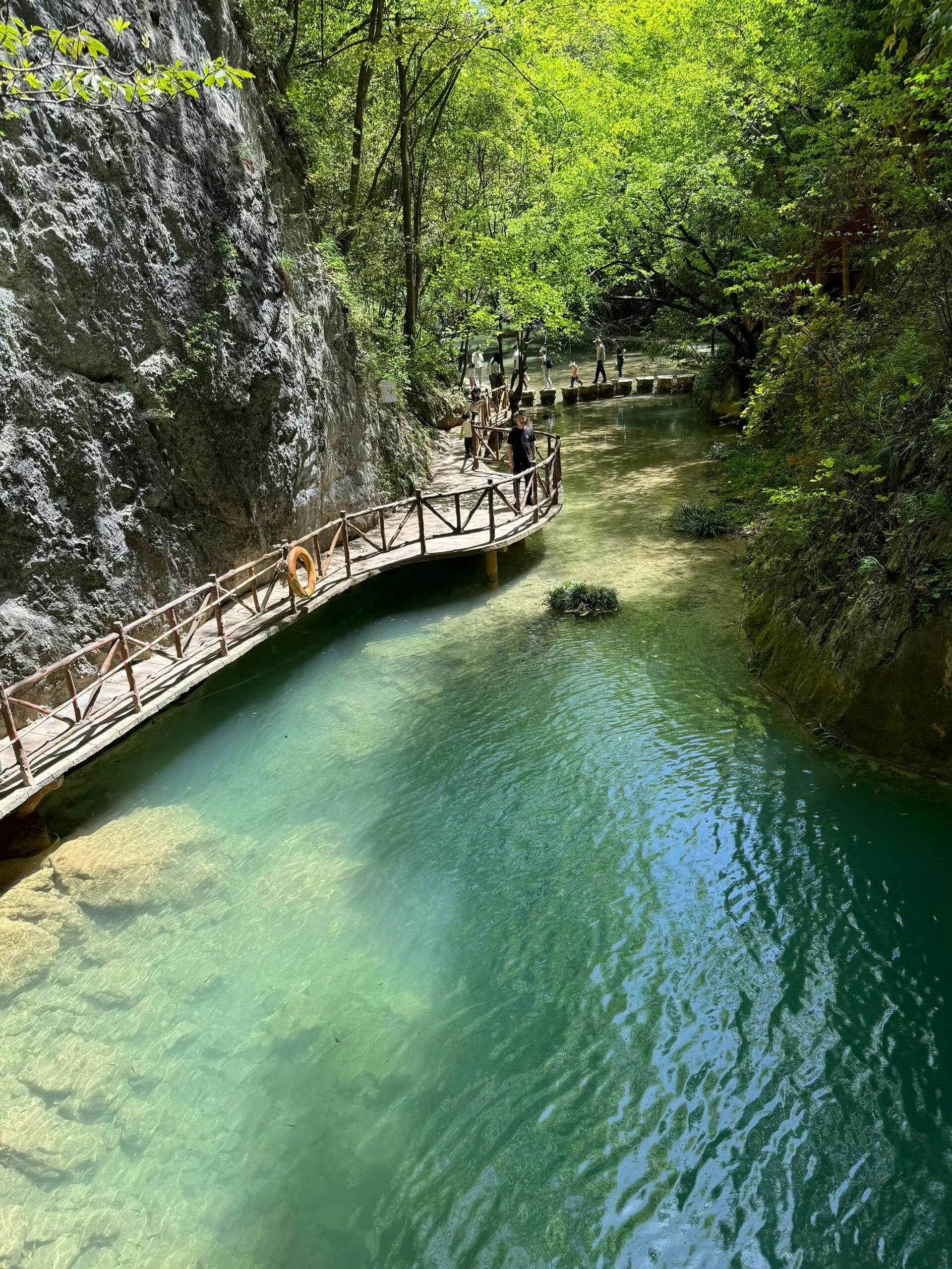 隔壁那户人家走了十年的老房子,空荡荡的,早就没人住了
