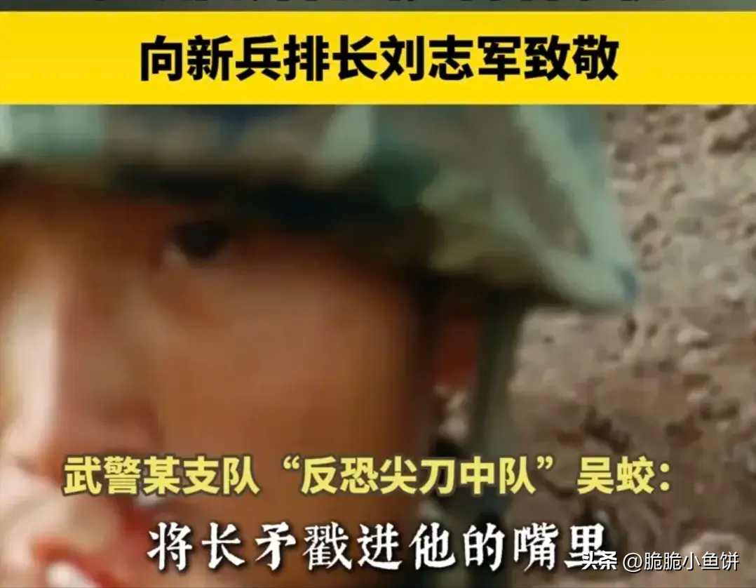 武警遭长矛戳嘴瞬间击毙2名暴徒,评论区热议不断