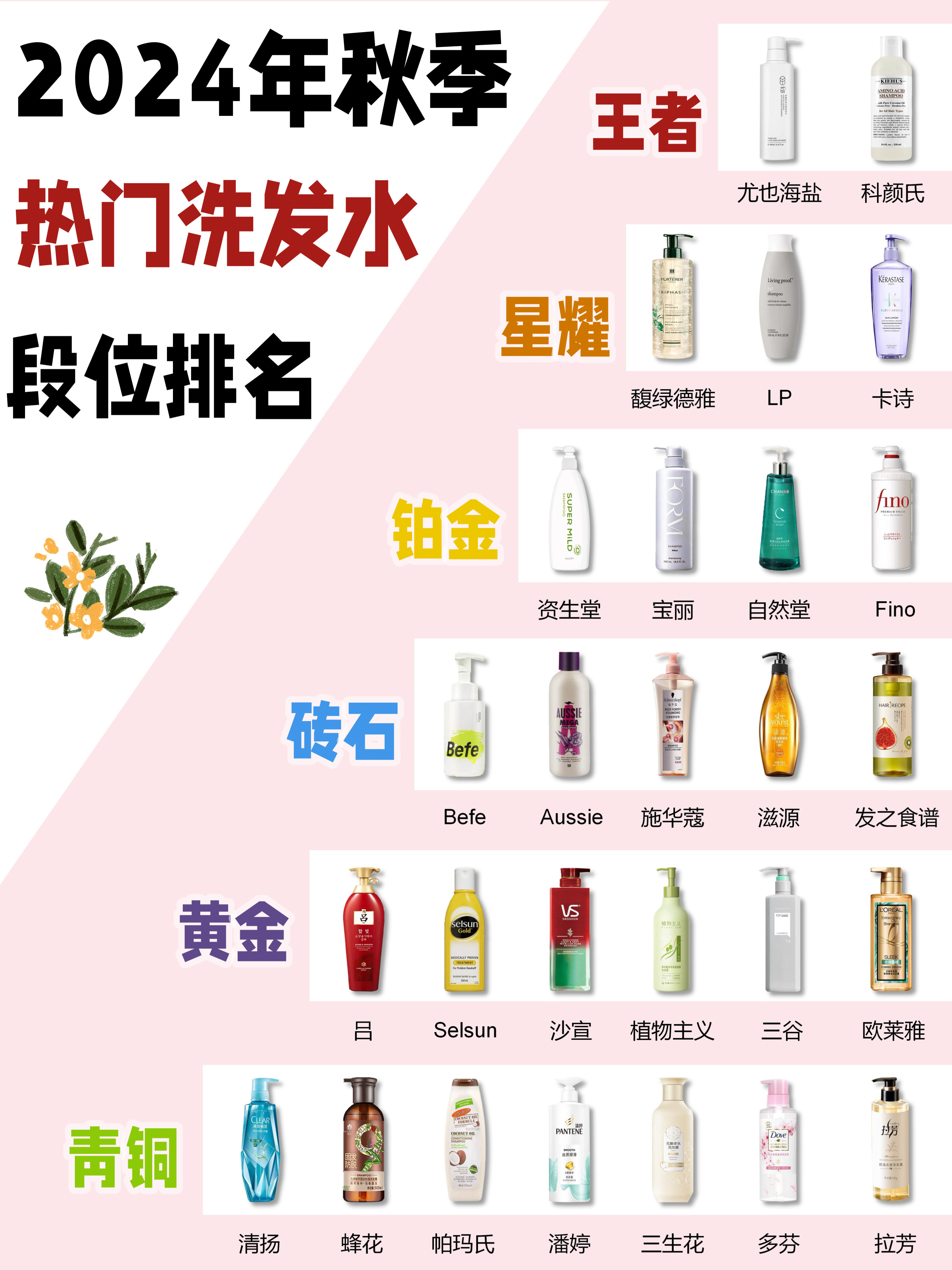 热门洗发水合集