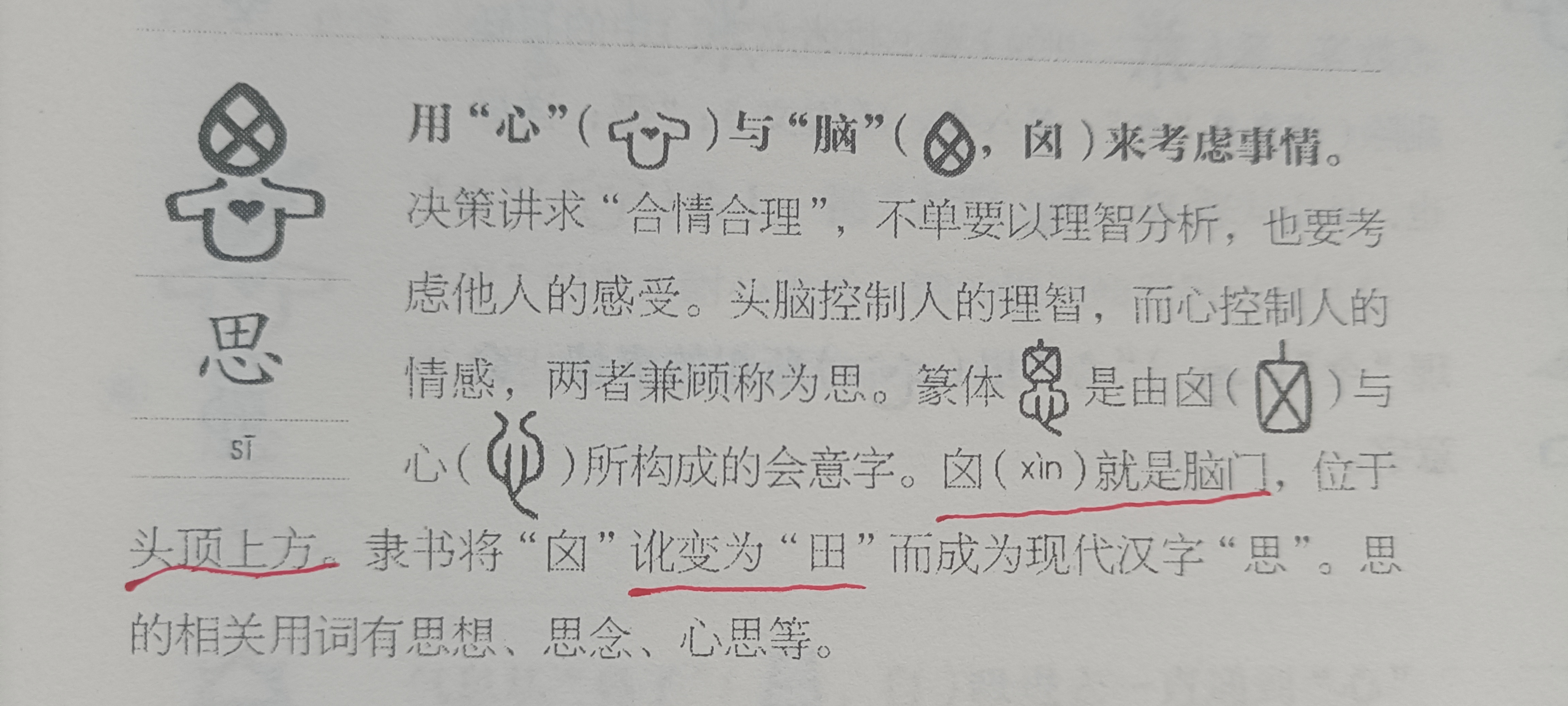 汉字之源——"思"字的演变释义!