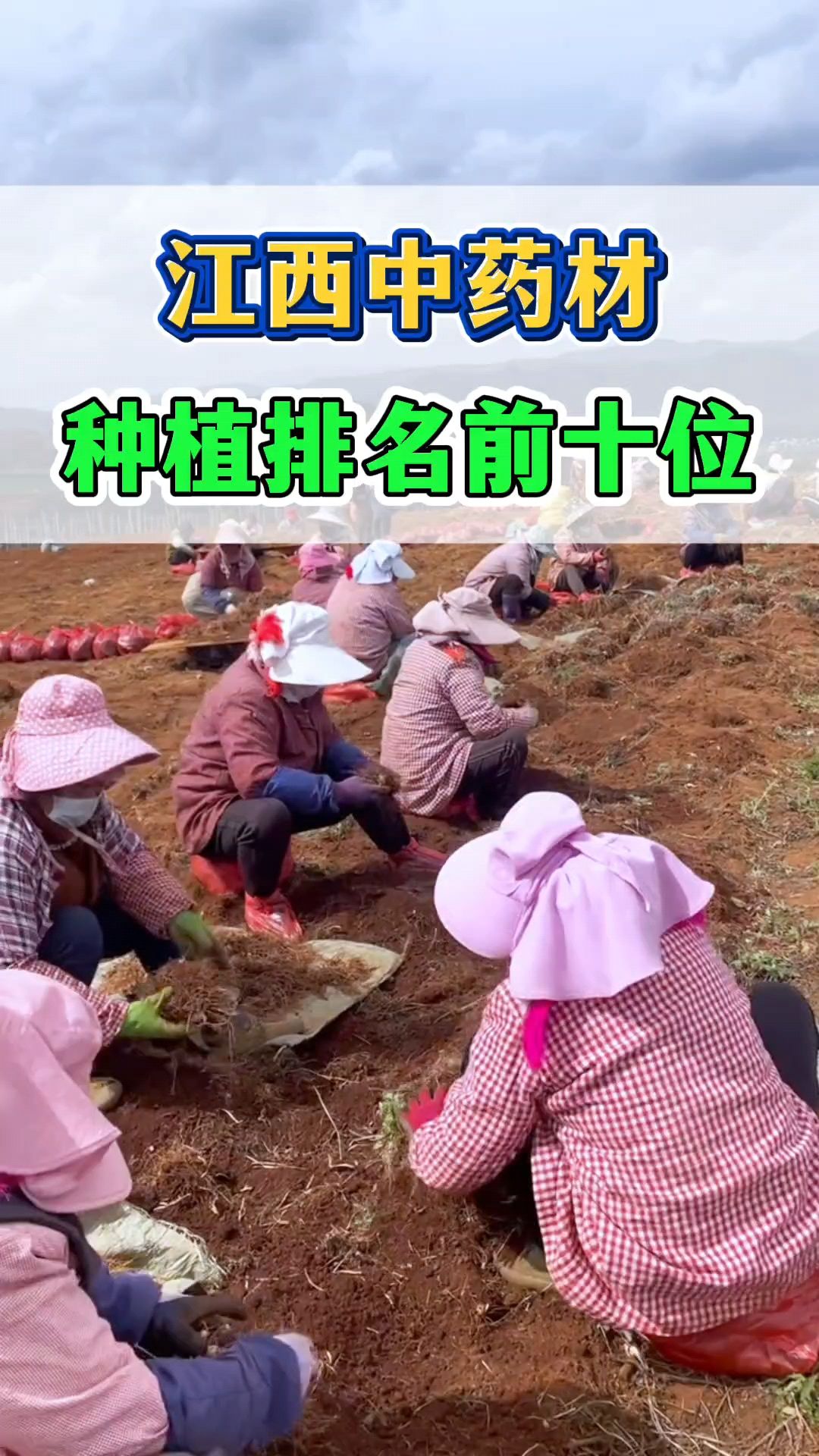国家扶持的种植药材有哪些(国家扶持的种植药材有哪些山东聊城)