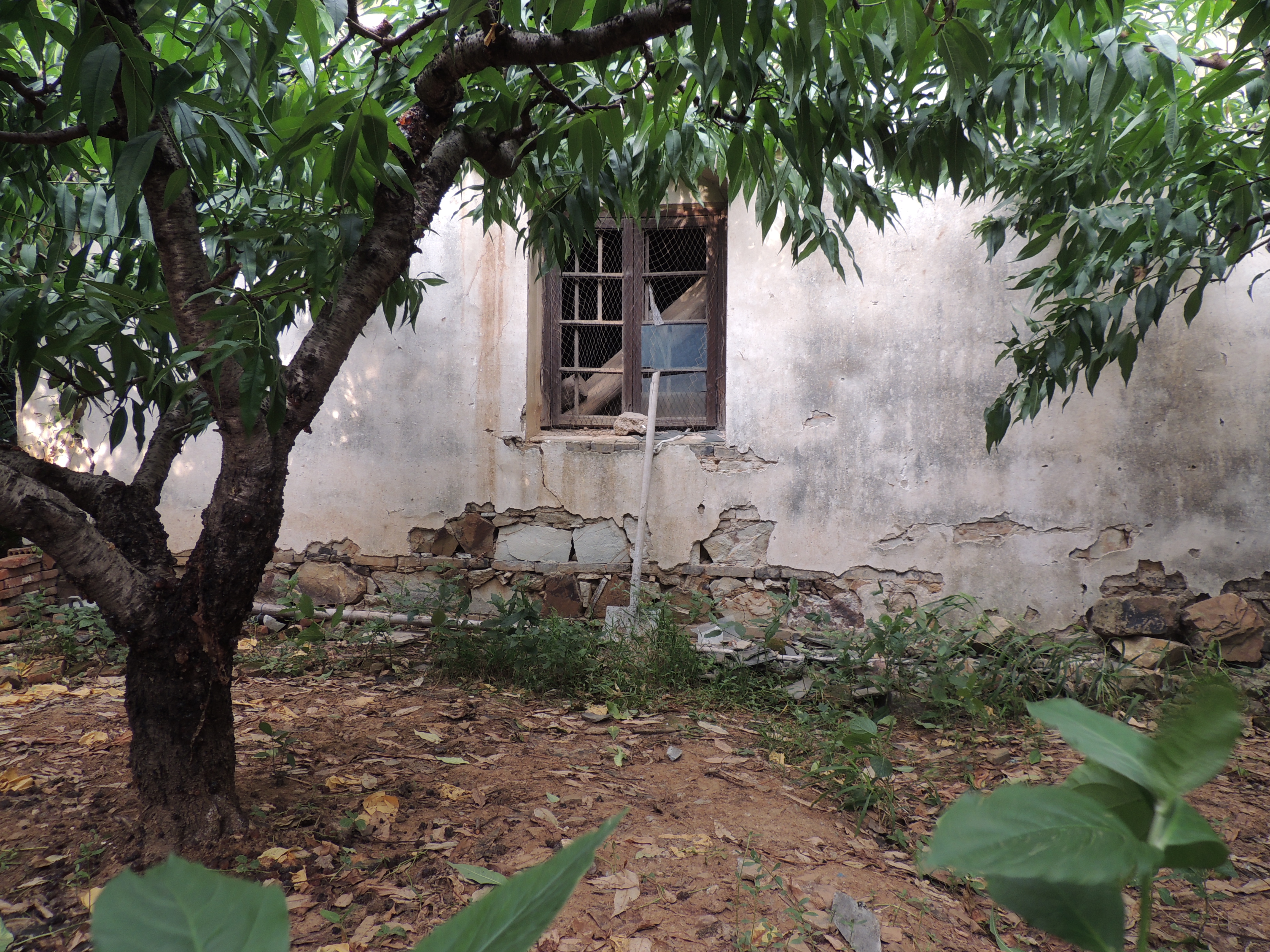 这是迄今为止见过的最低矮破败的房子