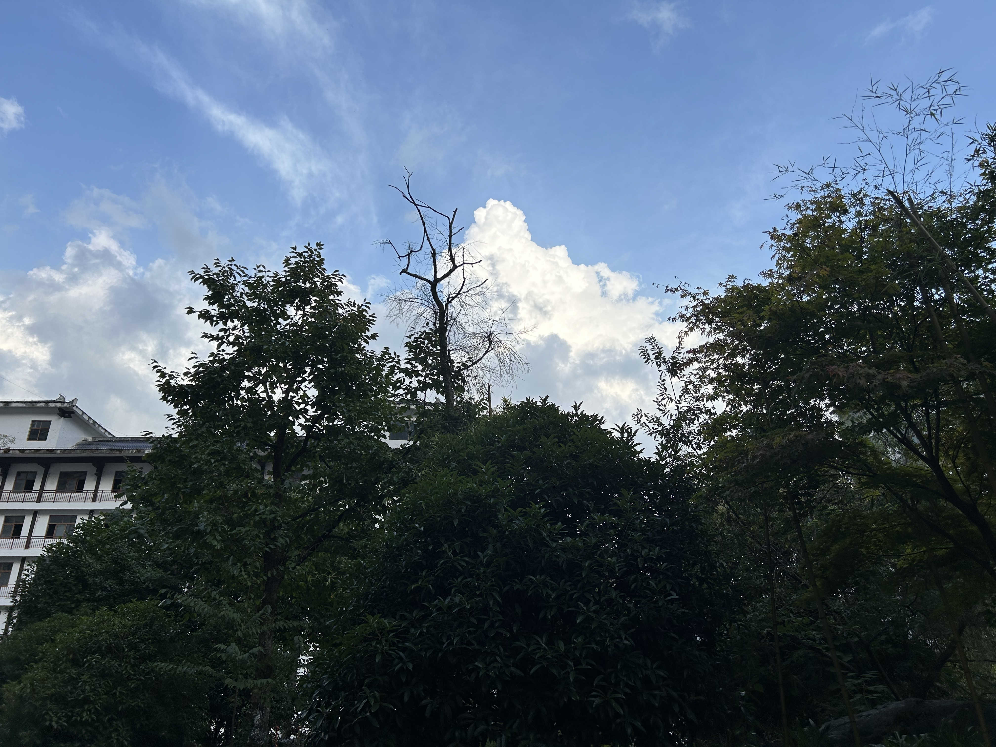 神农架木鱼镇天气在线