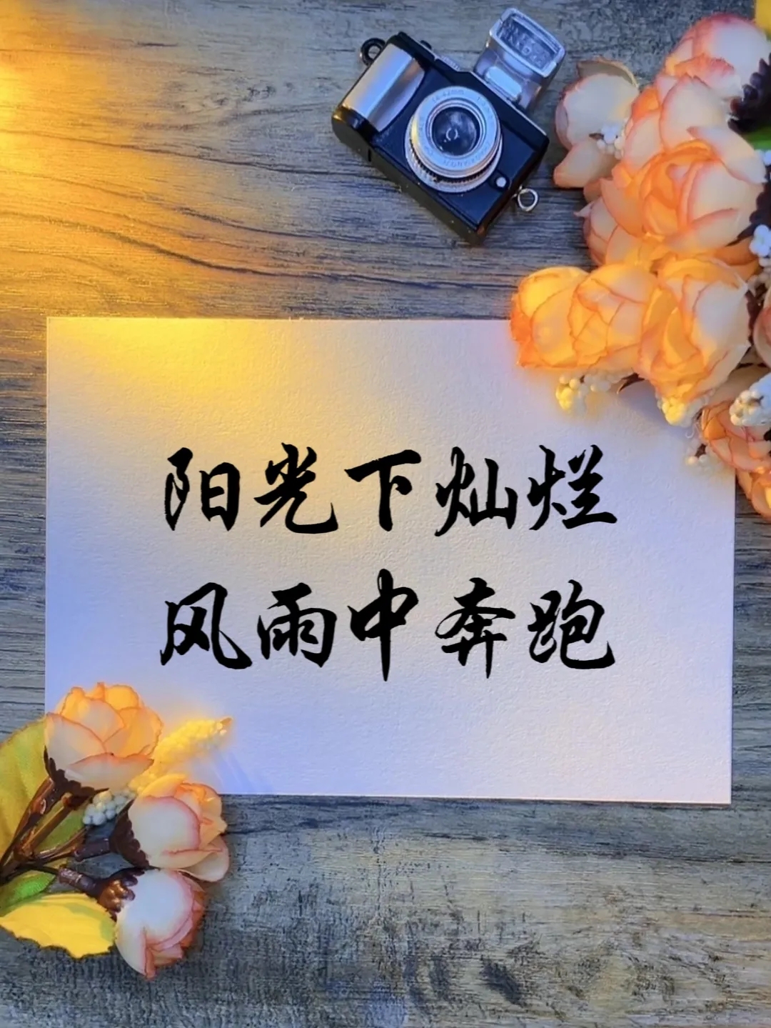 阳光下灿烂,风雨中奔跑
