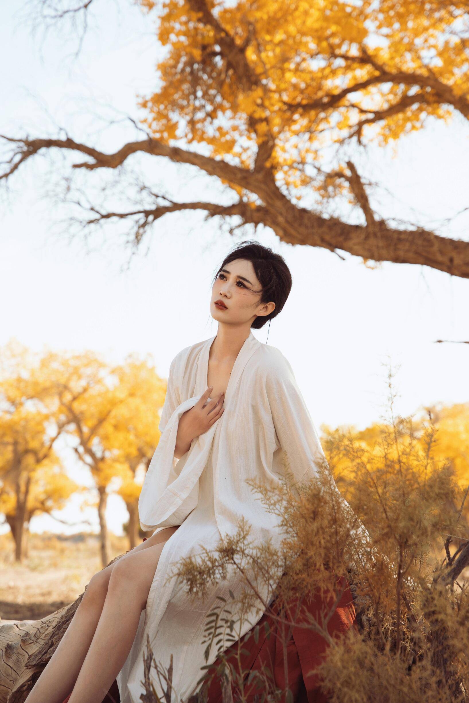 10月胡杨林赏秋全攻略!额济纳胡杨林等你来!