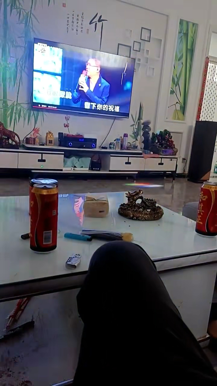 中秋假期第三天,一个人在家葛优躺,看电视!