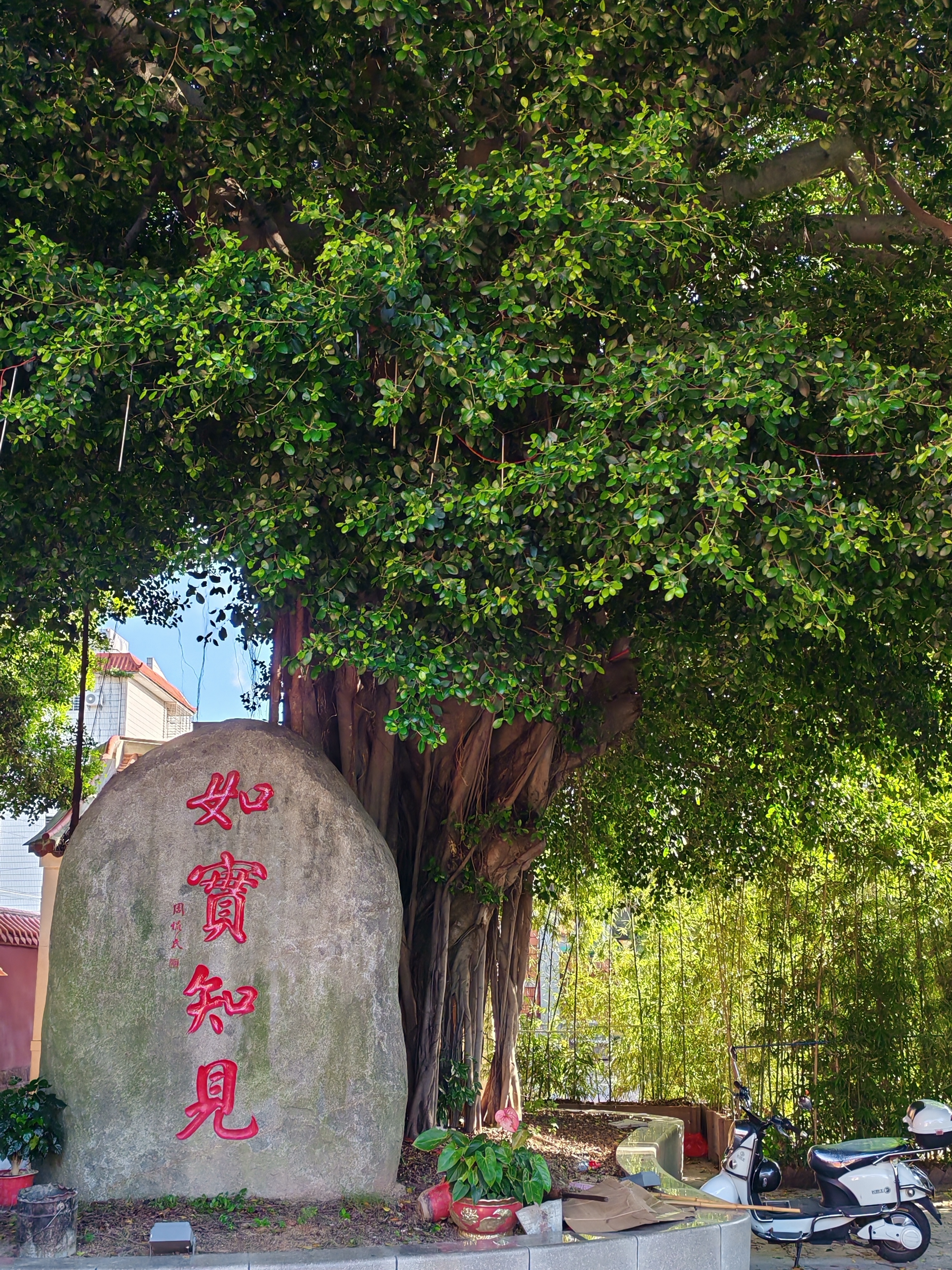 泉州崇福寺简介图片