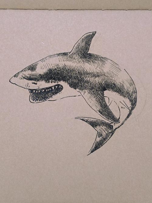 请记住怎么画鲨鱼