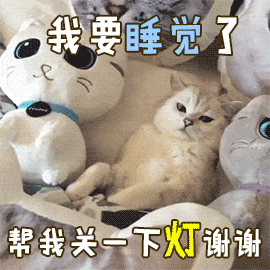 一只猫"被养得好",会有这几个迹象,骗不了人的!