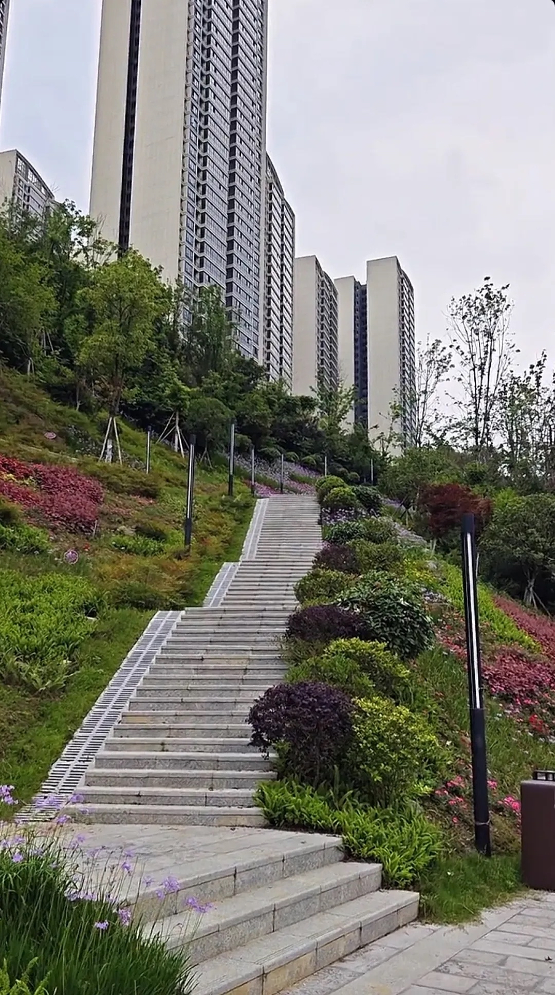 她今年36岁了,在一家公司当财务总监,至今未婚