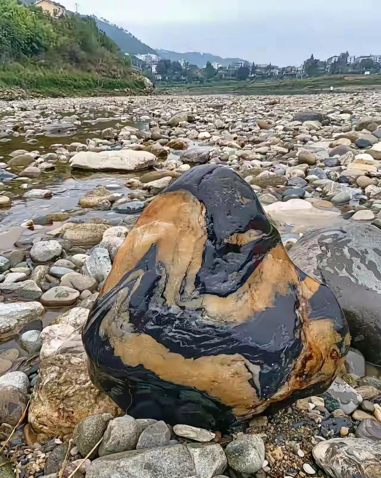 在湖北十堰,河水干涸后,一位村民在河床上竟发现了一块奇特的石头