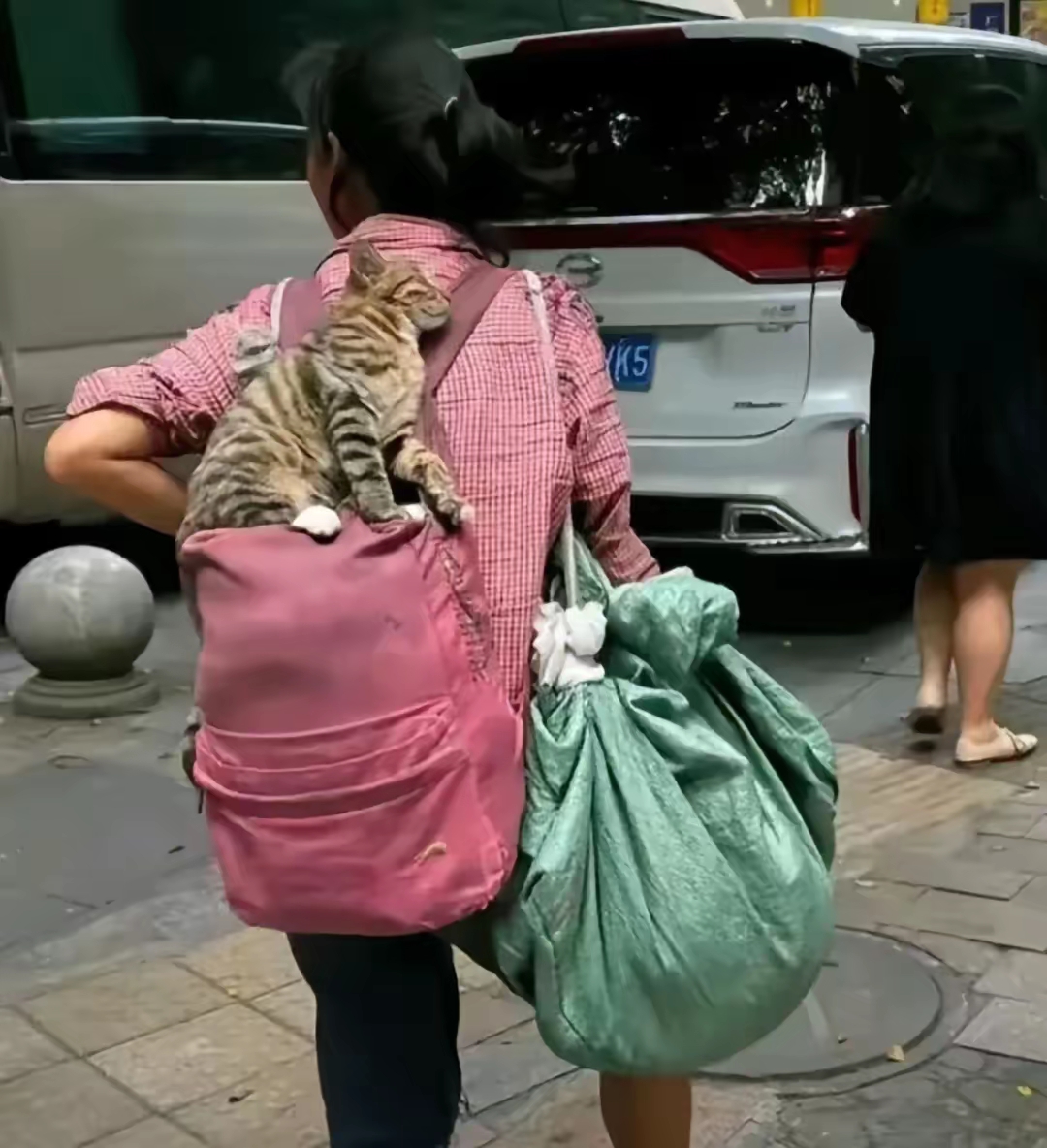 背包打工图片大全搞笑人背着猫咪离家出走的表情包离家出走搞笑图片
