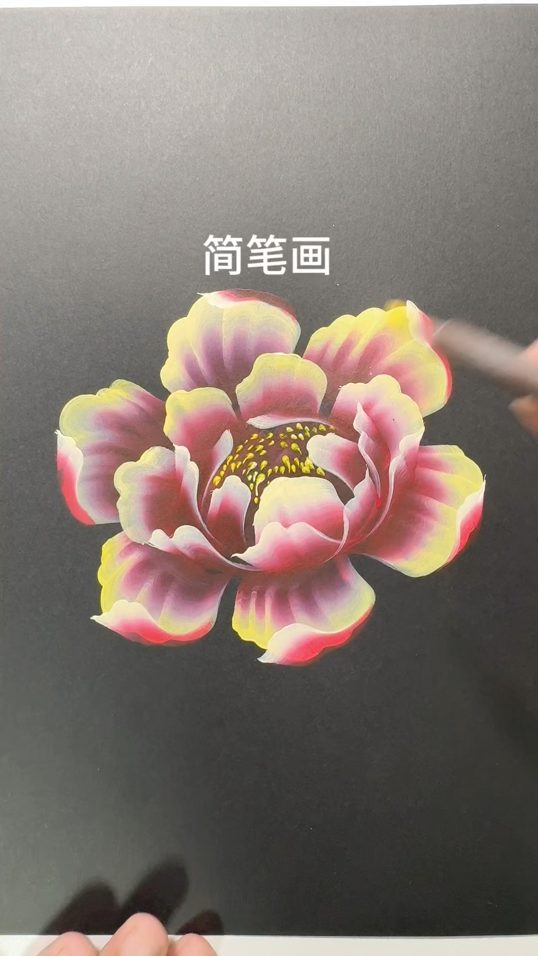 学画牡丹入门彩笔图片