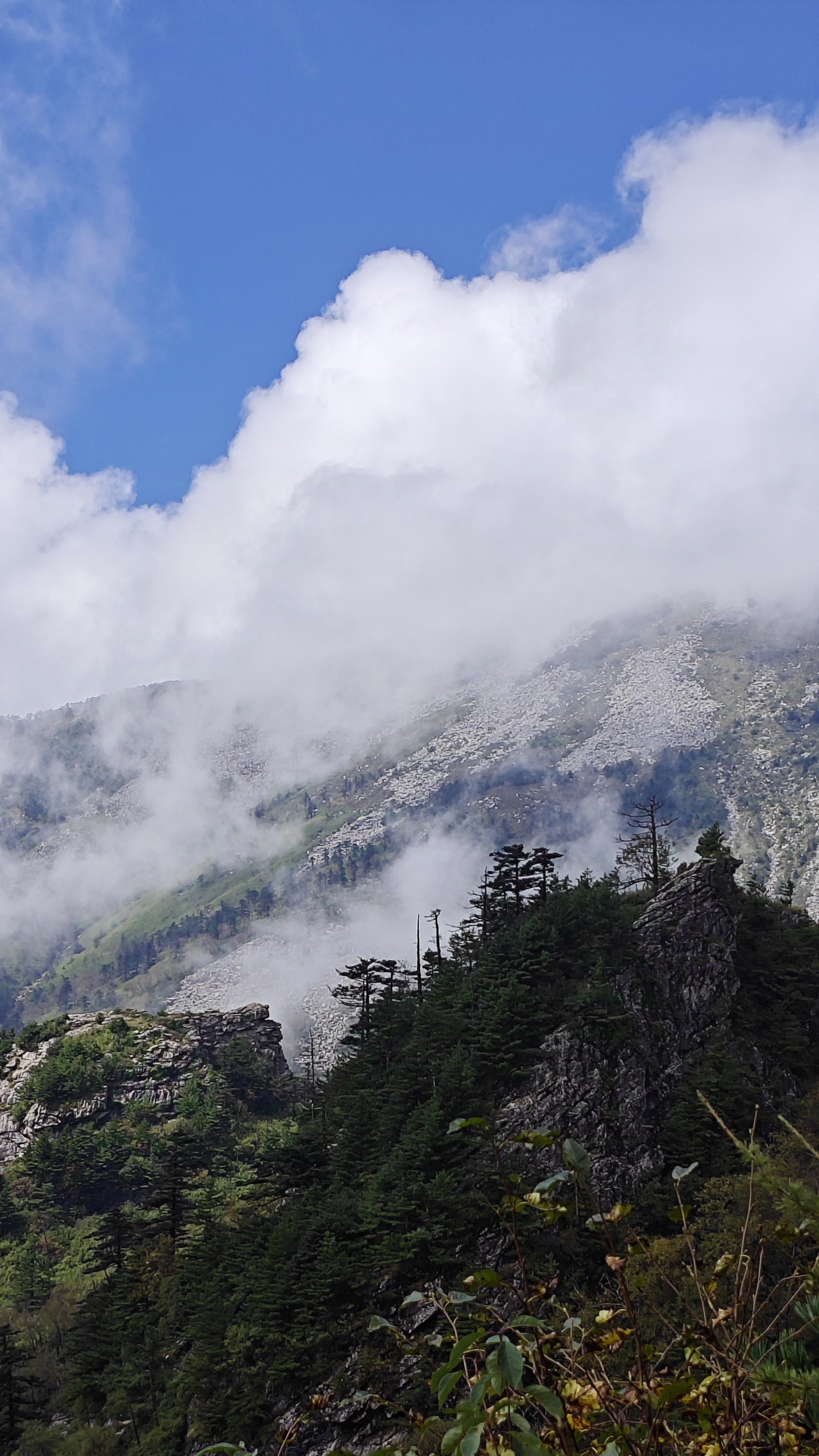 雄山峻岭图片图片