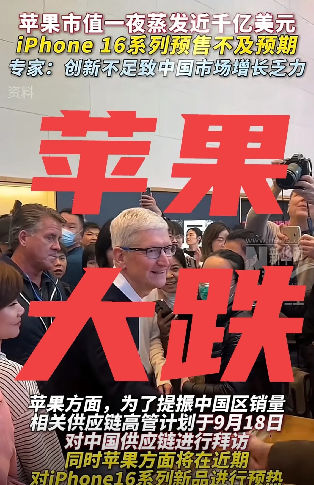 苹果有批发商吗现在怎么样