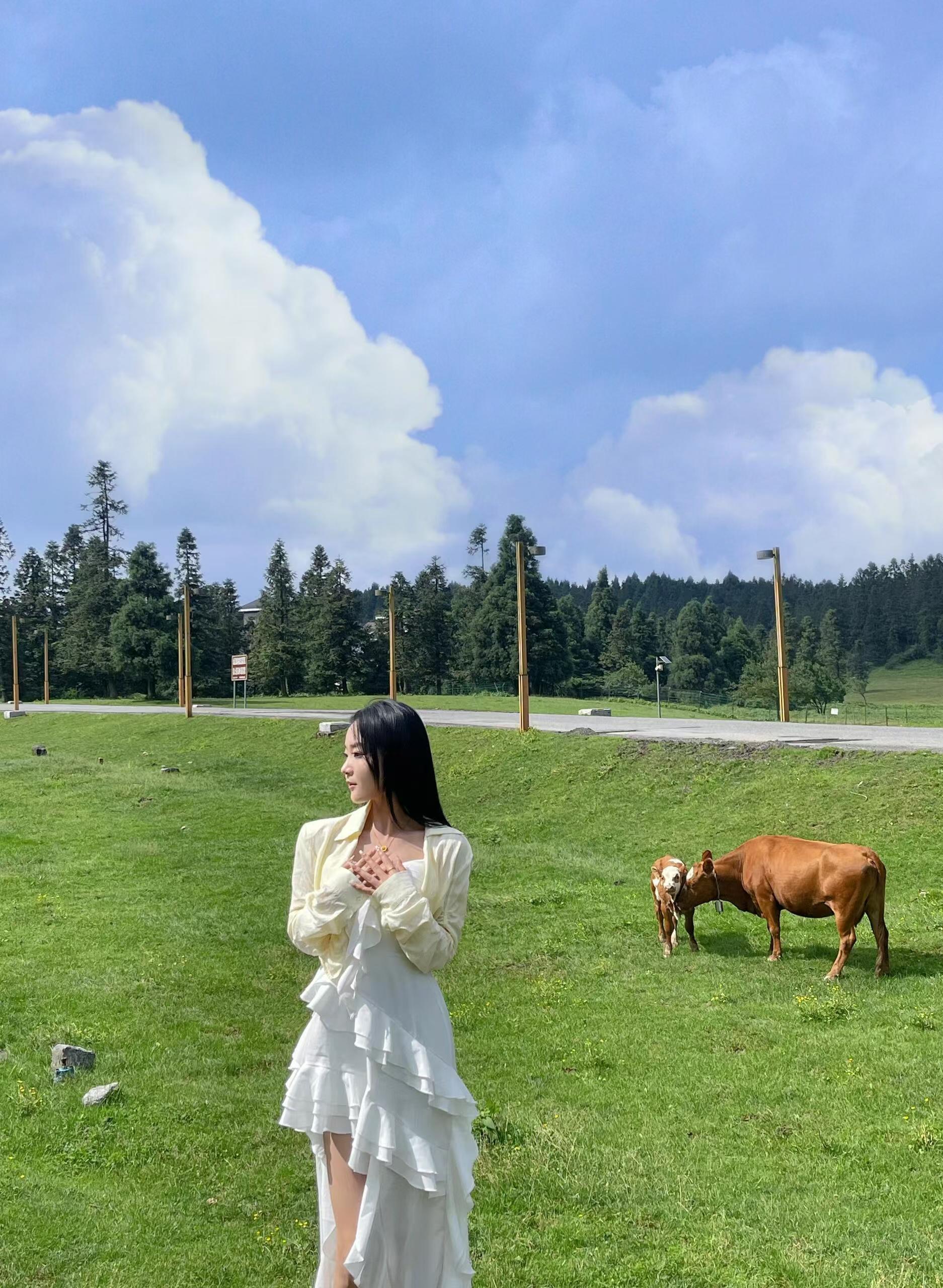 重庆私人导游(重庆私人导游一天费用标准)