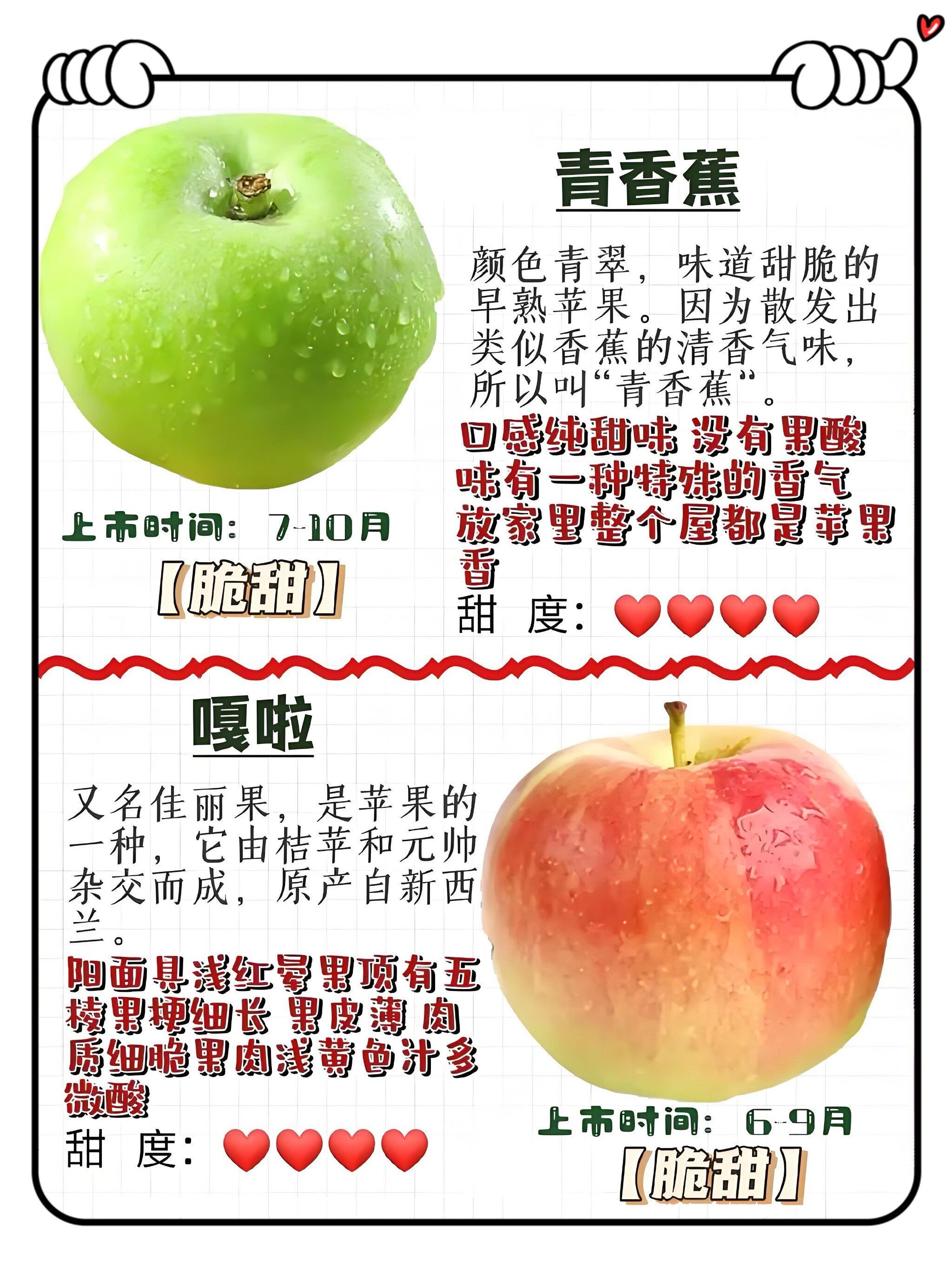 苹果有什么用途(苹果有什么维生素)