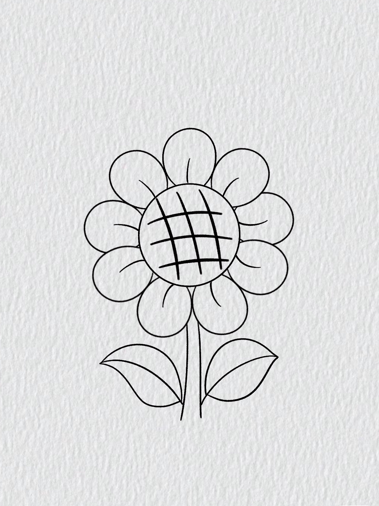 向日葵简笔画教程内附步骤图