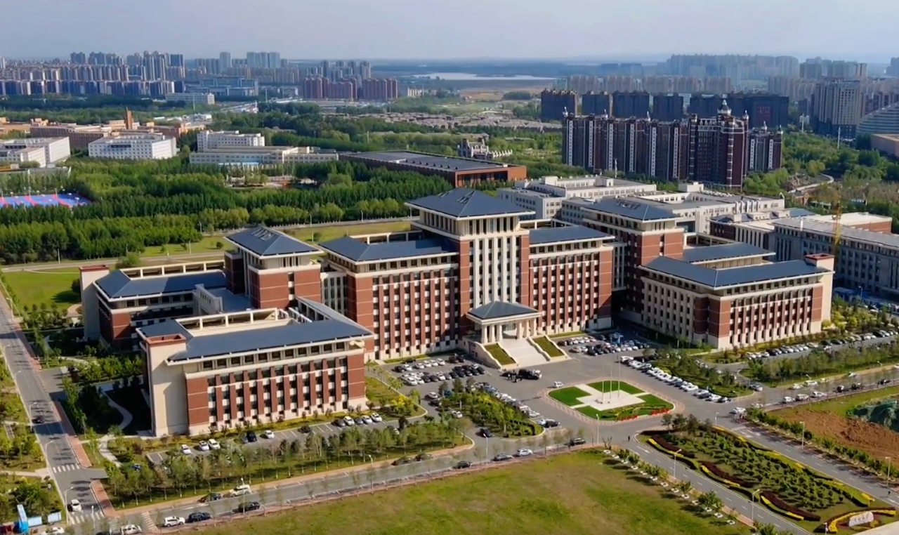 中国的"巨无霸"大学