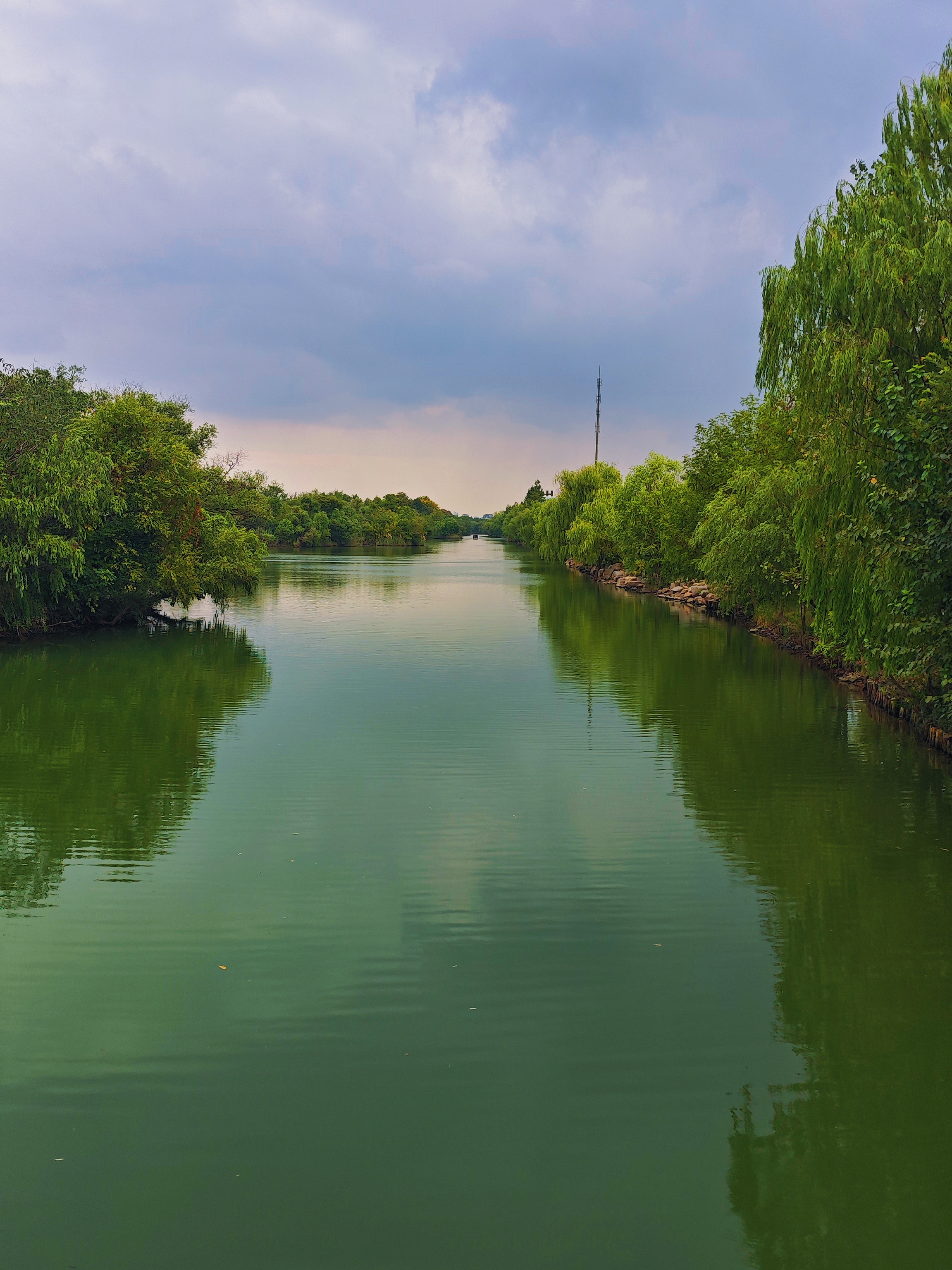 西溪湿地 风景图片图片