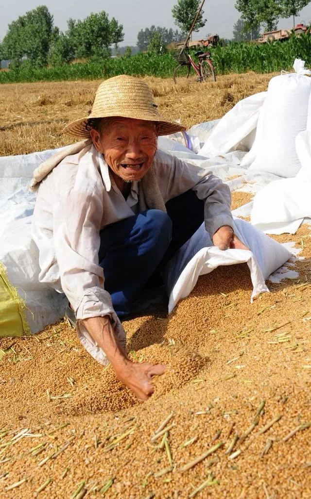 种地的老农民图片大全图片