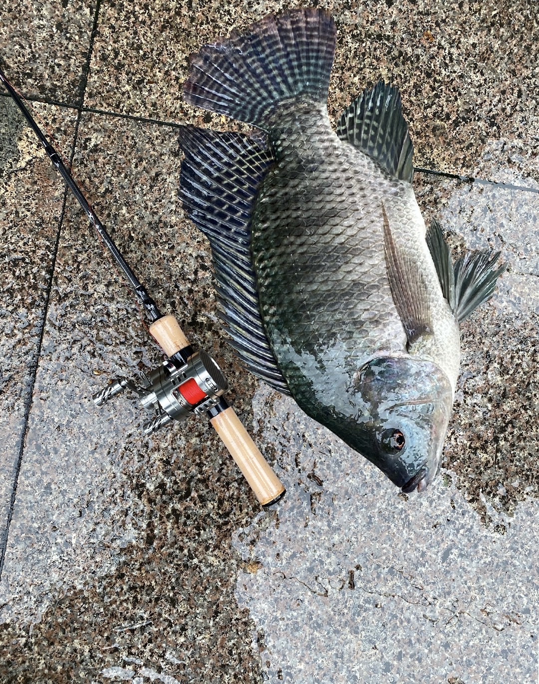 路亚竿右手抛(路亚竿右手拿竿) 路亚竿右手抛(路亚竿右手拿竿)