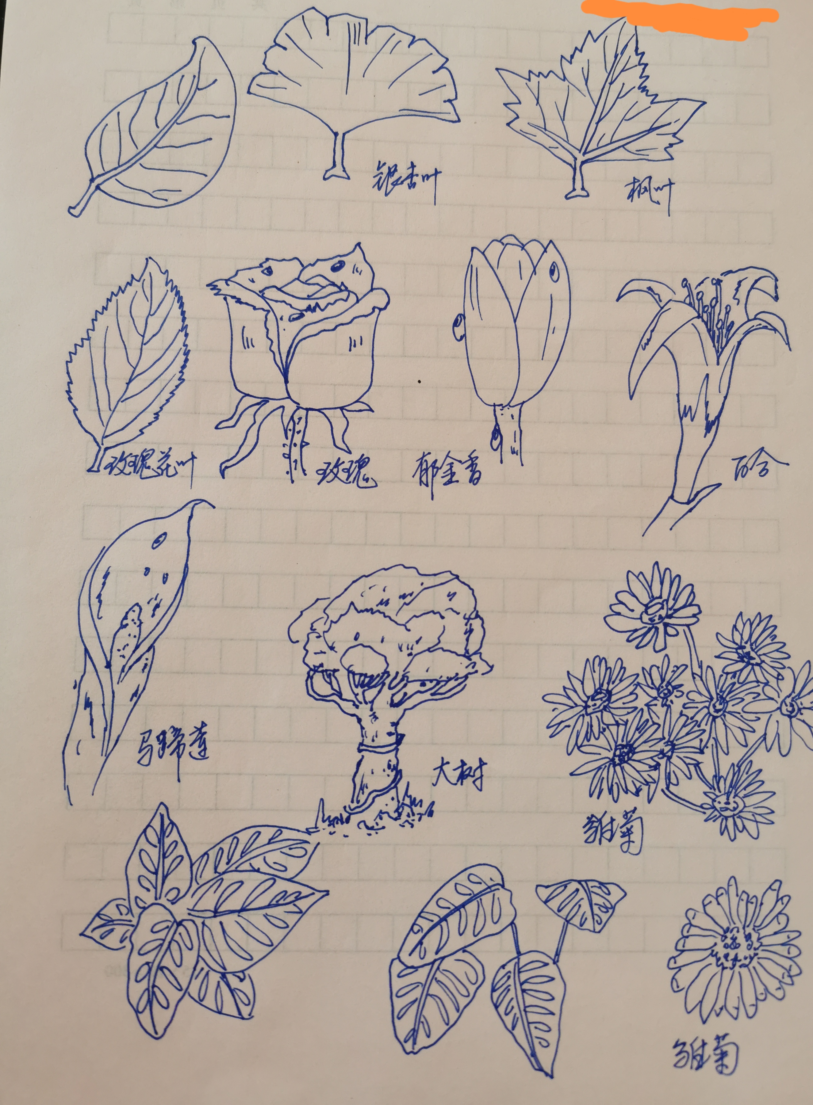 植物还是让人心情愉悦的植