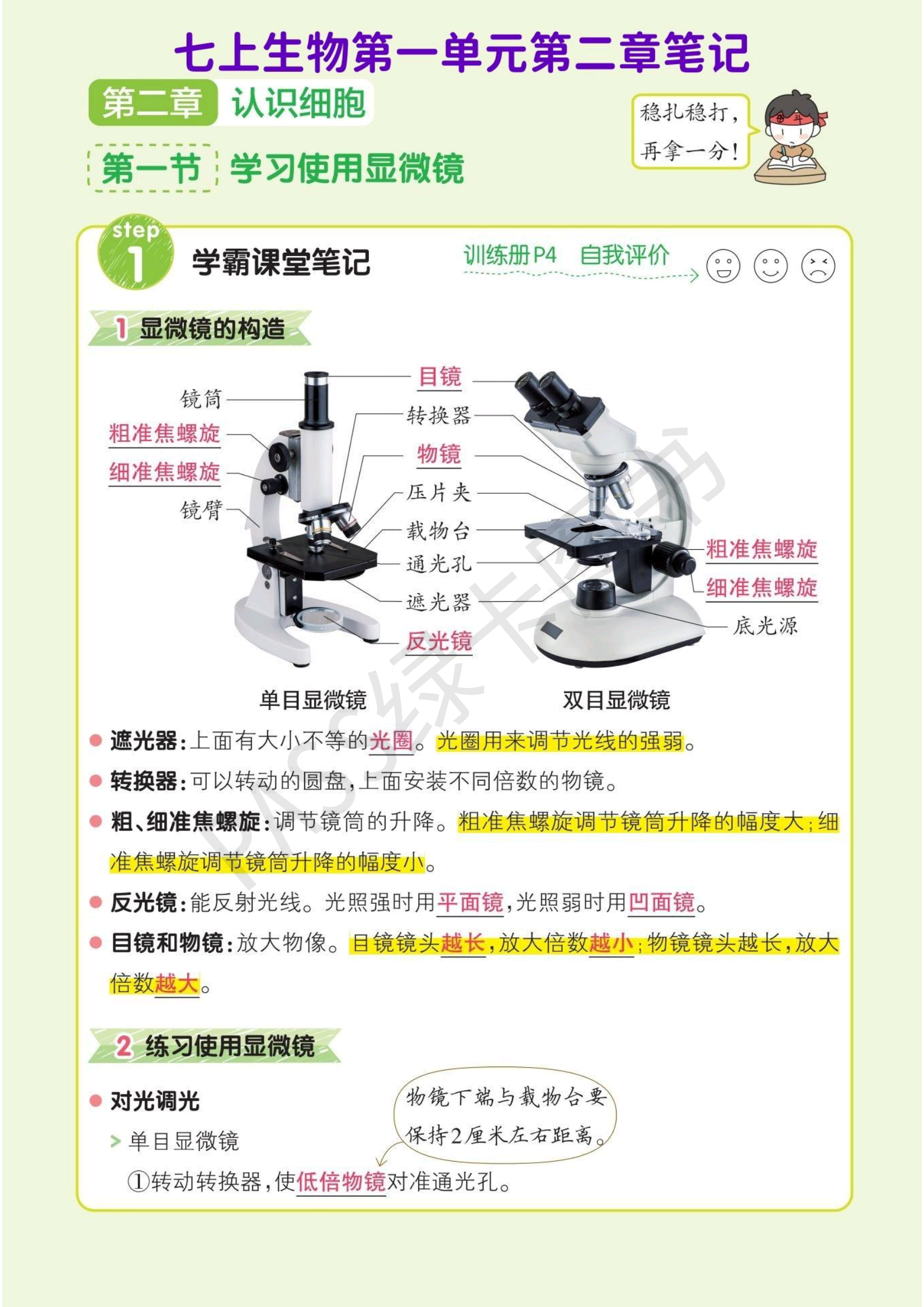 生物七上实验归纳(七年级上册生物所有实验报告) 第1张 生物七上实验归纳(七年级上册生物所有实验报告) 第1张
