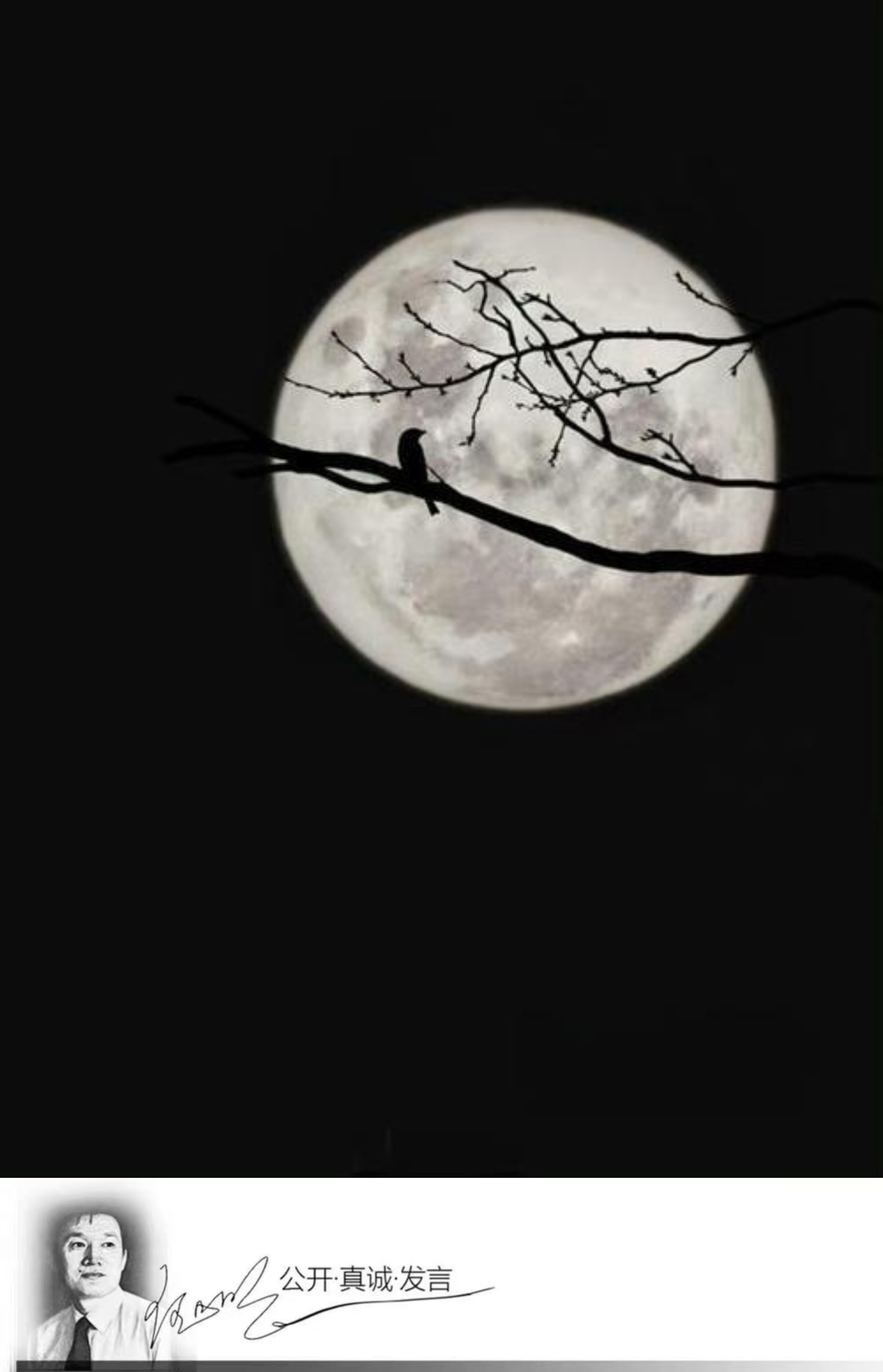 明夜思 今年八月十五当天朋友送我的月饼很馋人