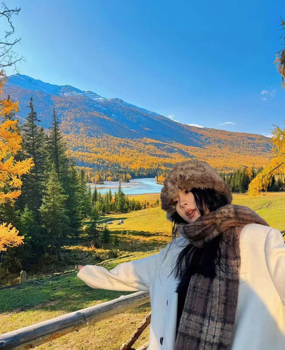 秋叶将离开母亲独自去旅行 一片片落下时带着一丝丝