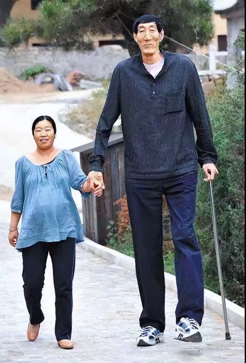 26m的身高,即便是放在身高普遍较高的一些欧洲国家,也十分突出.